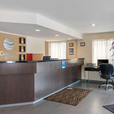 Comfort Inn Sudbury Dış mekan fotoğraf